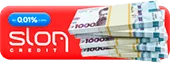 Sloncredit — кеш кредит
